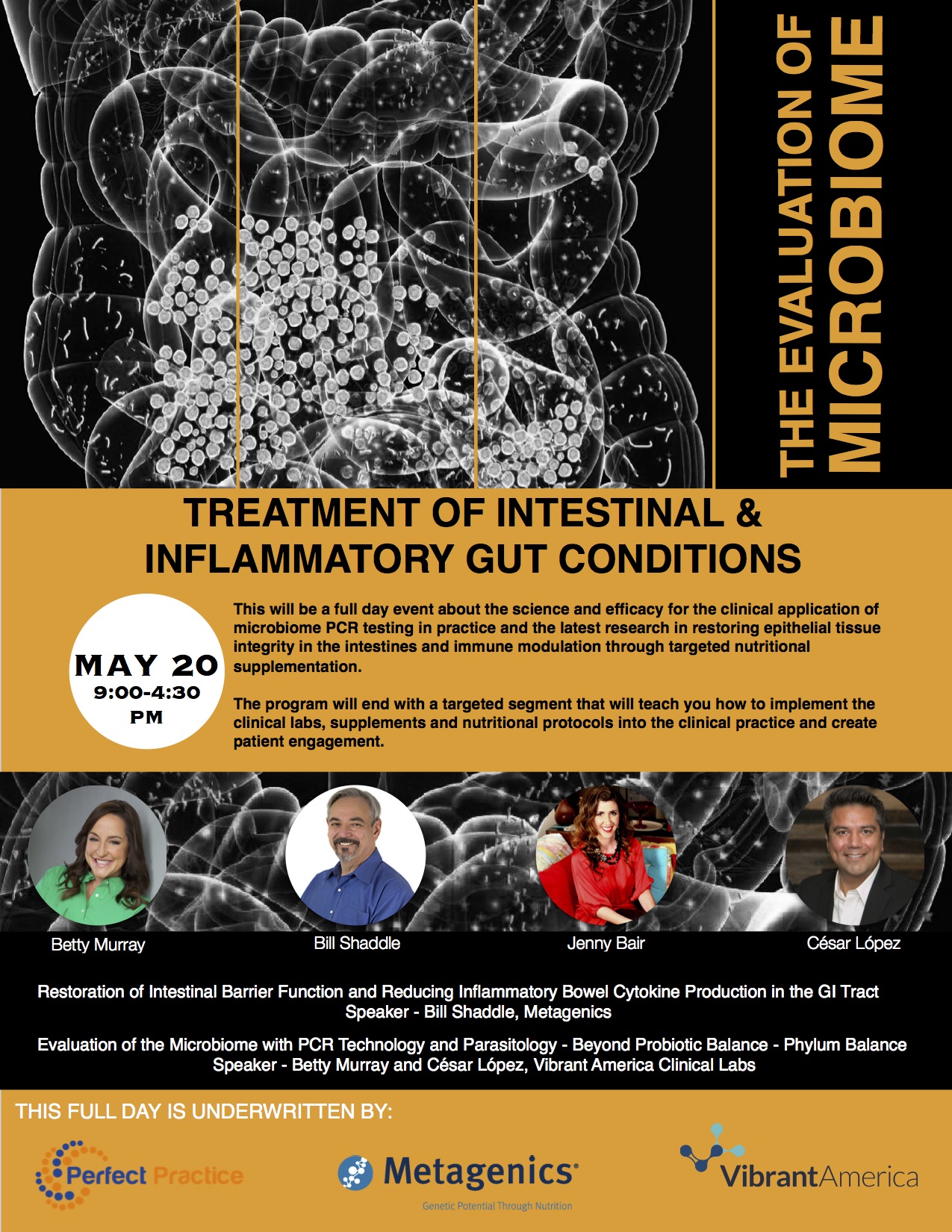 functional medicine seminar - microbiome leaky gut restoration of intestinal barrier